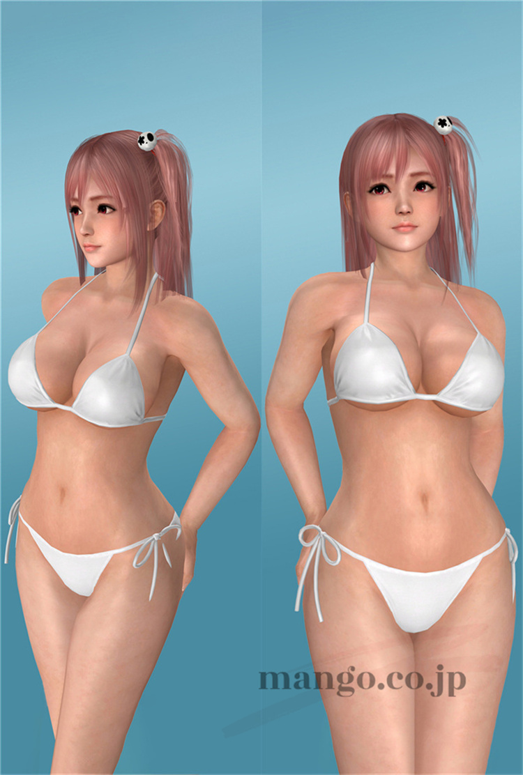 【デッド・オア・アライヴ Dead or Alive】抱き枕カバー 50×160cm 2WAYトリコット デッド・オア・アライヴ Dead or Alive 抱き枕カバー