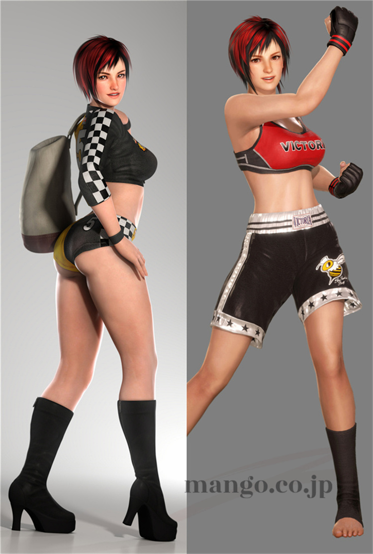 【デッド・オア・アライヴ Dead or Alive】抱き枕カバー 50×160cm 2WAYトリコット デッド・オア・アライヴ Dead or Alive 抱き枕カバー