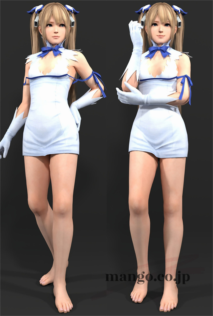 【Dead or Alive】 デッド オア アライブ 抱き枕カバー 50×160cm 2WAYトリコット Dead or Alive デッド オア アライブ 抱き枕カバー